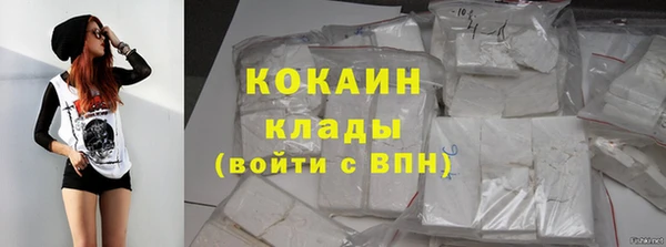мдпв Верхний Тагил