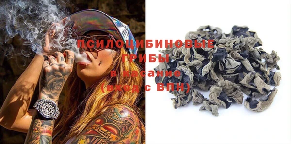 мдпв Верхний Тагил