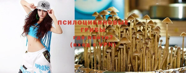 мдпв Верхний Тагил